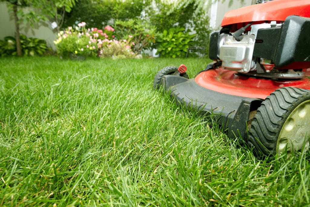 Yard Mowing in Grapevine, TX: A Homeowner’s Guide to a Healthy, Well-Kept Lawn
