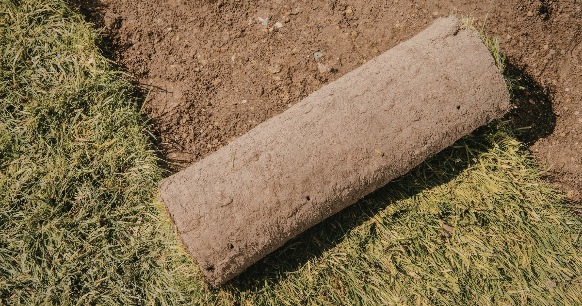 How to Lay Sod in Texas This Spring: A Step-by-Step Guide