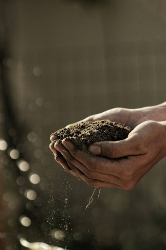 Revamping Your Colleyville, TX Yard: Essential Landscaping Renovation Tips