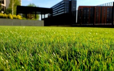 Innovative Landscaping Designs for Southlake, TX Homes