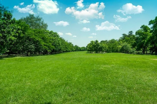 Essential Lawn Care Tips for Healthy Yards in North Richland Hills, TX