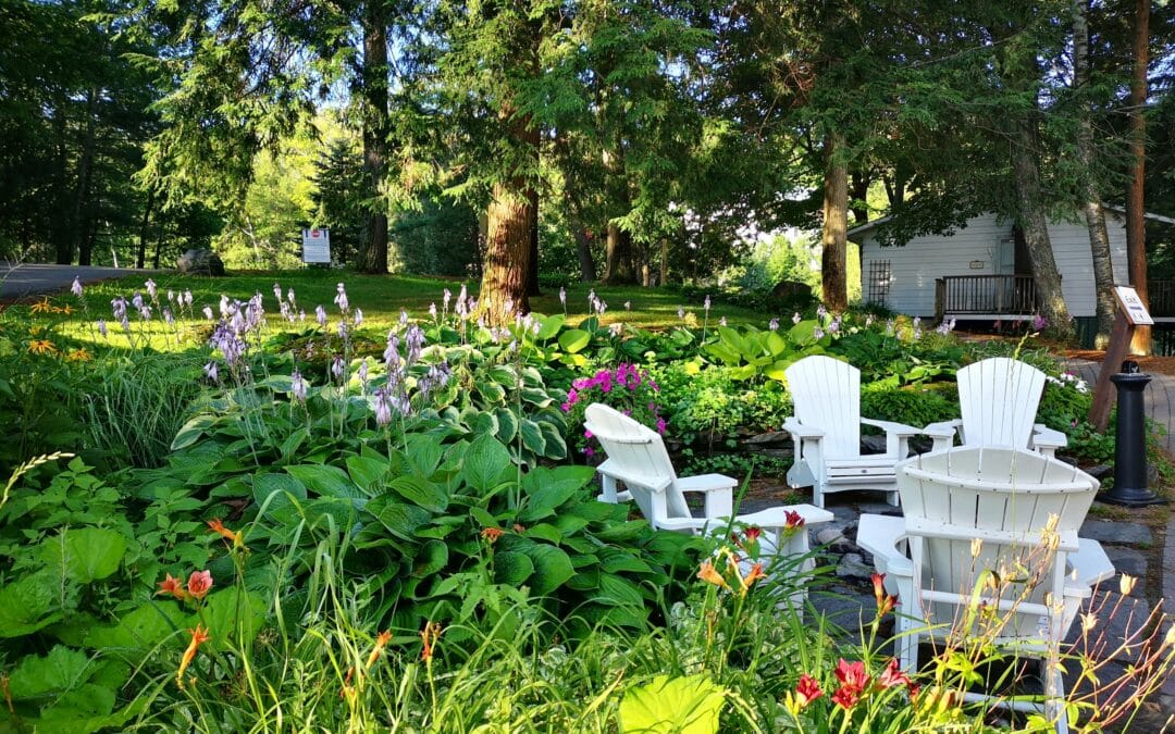 Four white Adirondack chairs surround a small table in a lush garden, offering backyard landscaping ideas with vibrant green foliage, blooming flowers, and towering trees near a charming white building.