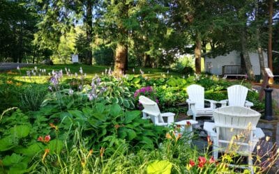 Backyard Landscaping Ideas to Transform Any Outdoor Space
