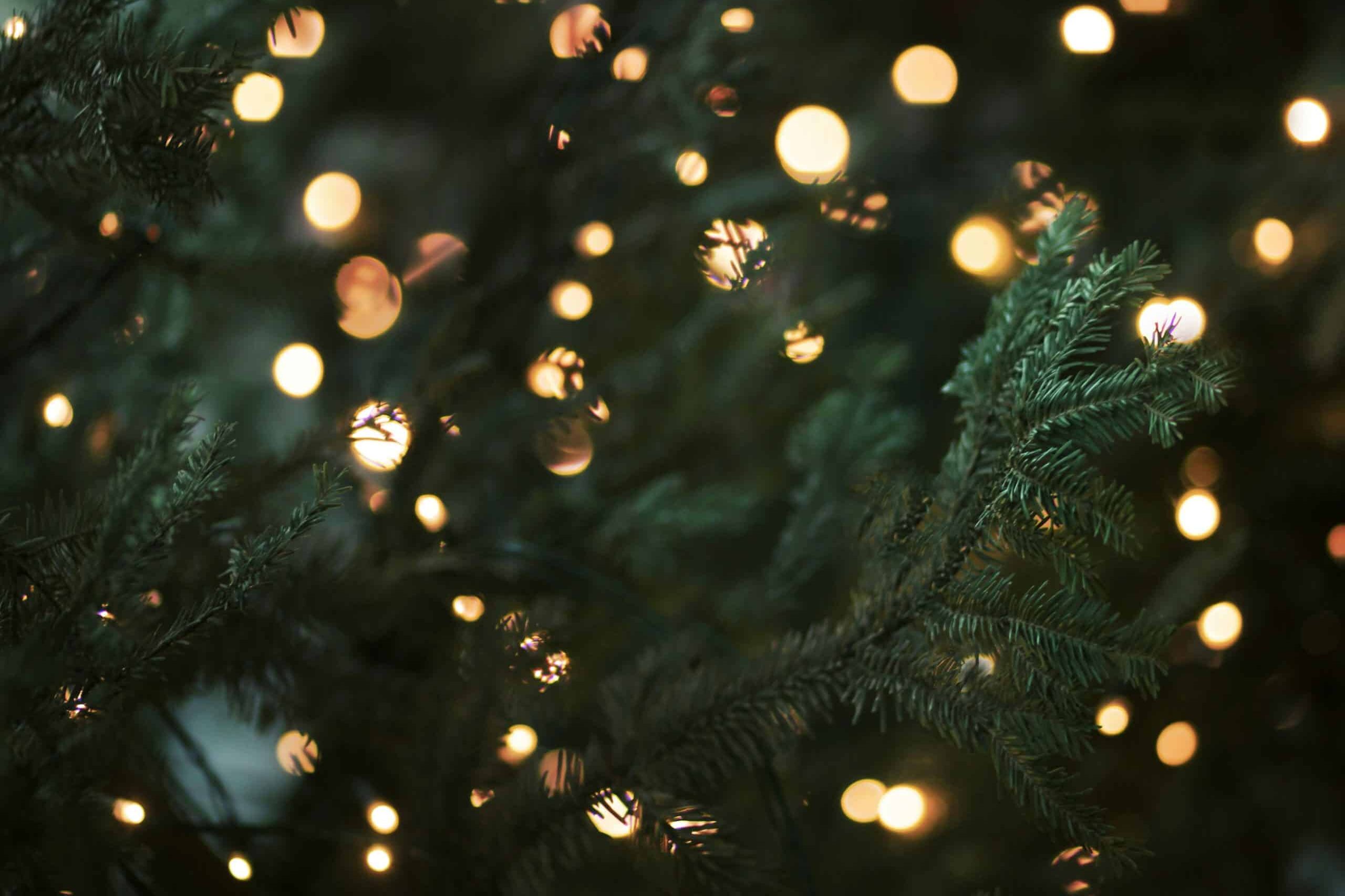 Southlake Christmas lights on evergreen tree professionally installed by Goat Kings Landscaping