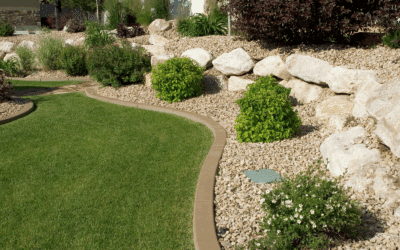 Top Spring Landscape Design Ideas for Dallas–Fort Worth Homes