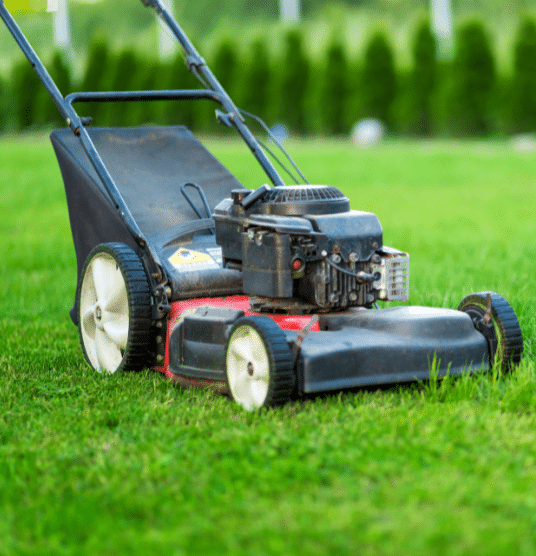 A close-up of a red and black lawn mower on green grass in a garden, with trees and shrubs blurred in the background.