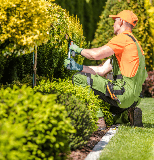 A gardener in orange and green work clothes trims bushes with shears while kneeling on grass in a landscaped garden.