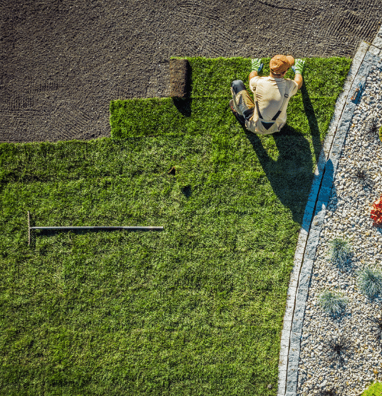 A worker installs rolls of sod on a lawn next to a landscaped area with rocks and plants. A rake lies on the grass nearby. The scene is viewed from above.