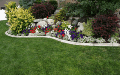 Spring Lawn Care Checklist for DFW Homeowners: Get Your Yard Ready