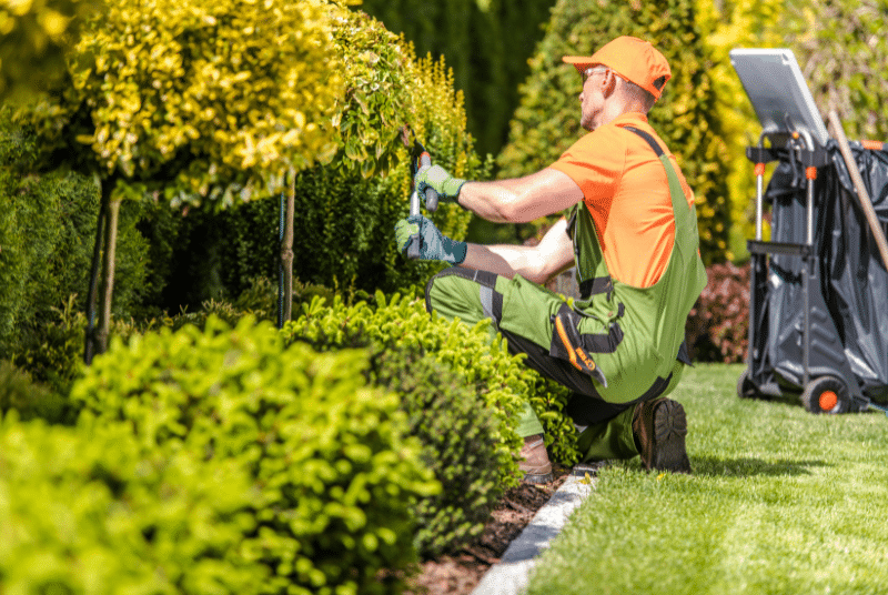 A gardener in an orange shirt, cap, and green overalls kneels on grass trimming bushes with hedge shears in a well-maintained garden, showcasing expert Colleyville Landscape Installation.
