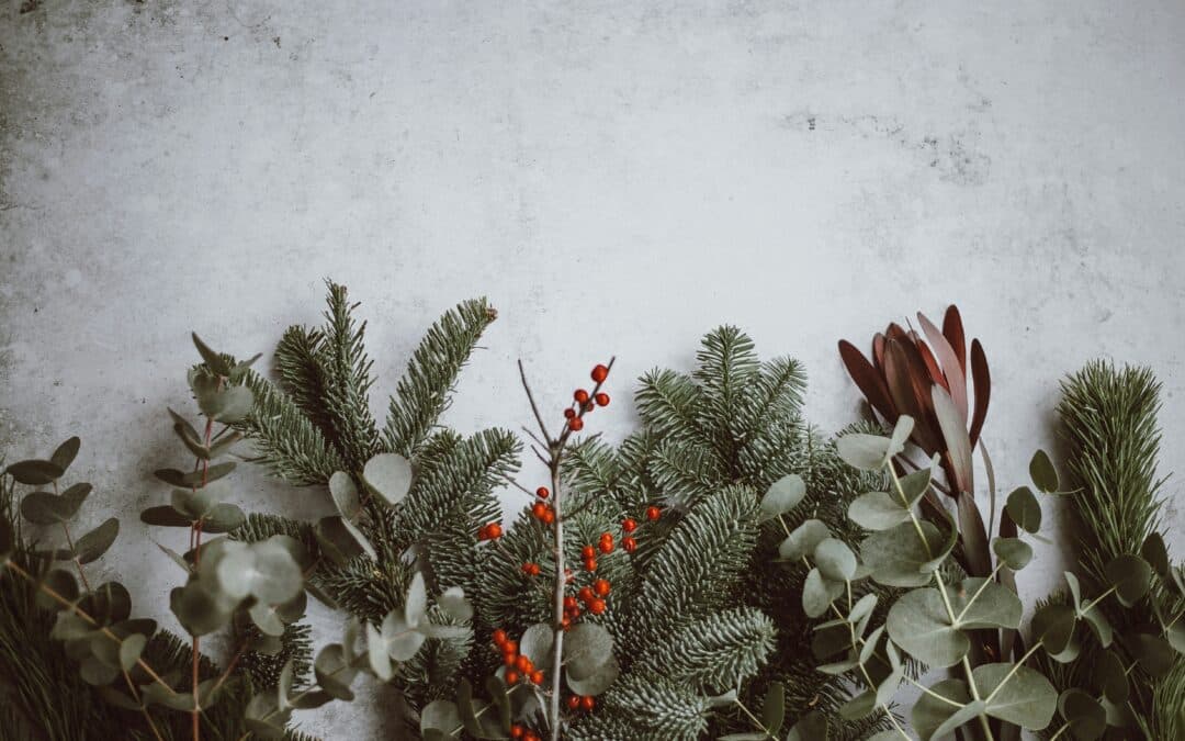 Sprigs of evergreen, eucalyptus, and red berries are arranged along the bottom of a light gray textured surface, creating a natural border perfect for festive displays or inspiring DFW homeowners’ holiday lighting ideas.