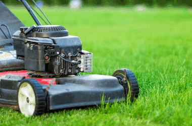 The Complete Guide to Professional Lawn Mowing Services for a Healthier, Greener Yard