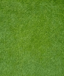 Professional lawn mowing service in Keller, Southlake, Grapevine, and surrounding Mid-Cities by Goat Kings Landscaping.care for a greener yard.