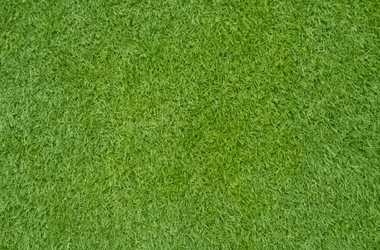 The Complete Guide to Professional Lawn Mowing Services for a Healthier, Greener Yard