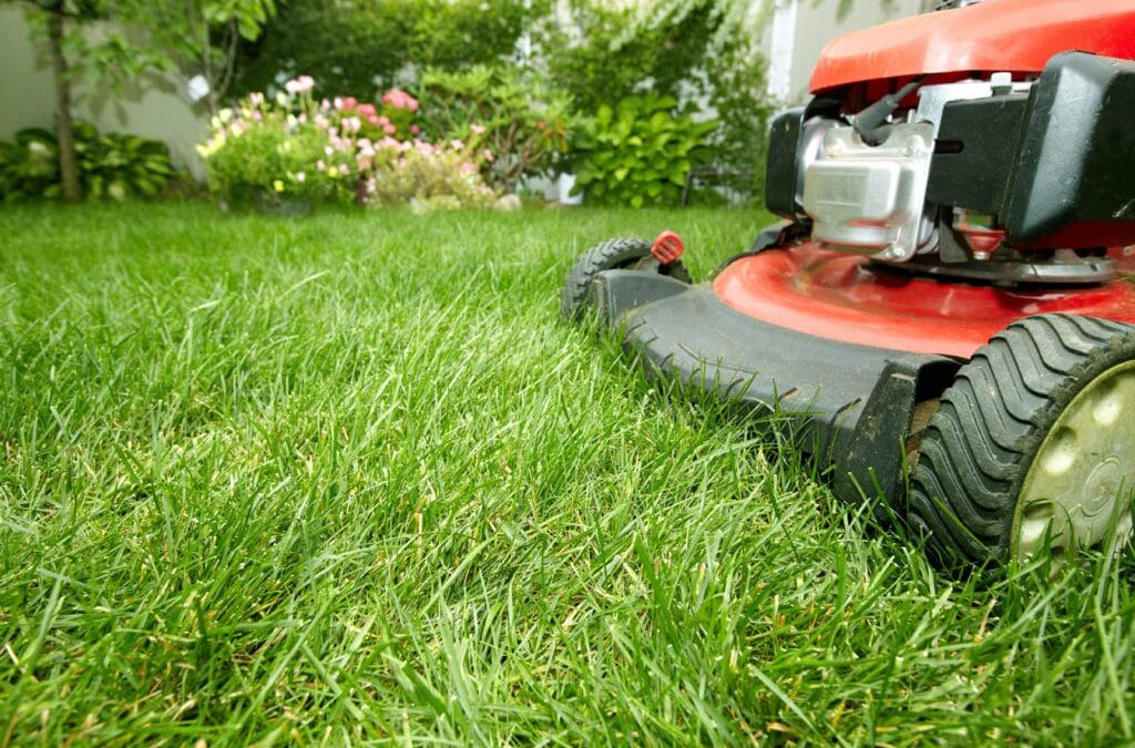 Professional lawn mower used for yard mowing in Grapevine, TX residential properties