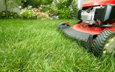 Yard Mowing in Grapevine, TX: A Homeowner’s Guide to a Healthy, Well-Kept Lawn