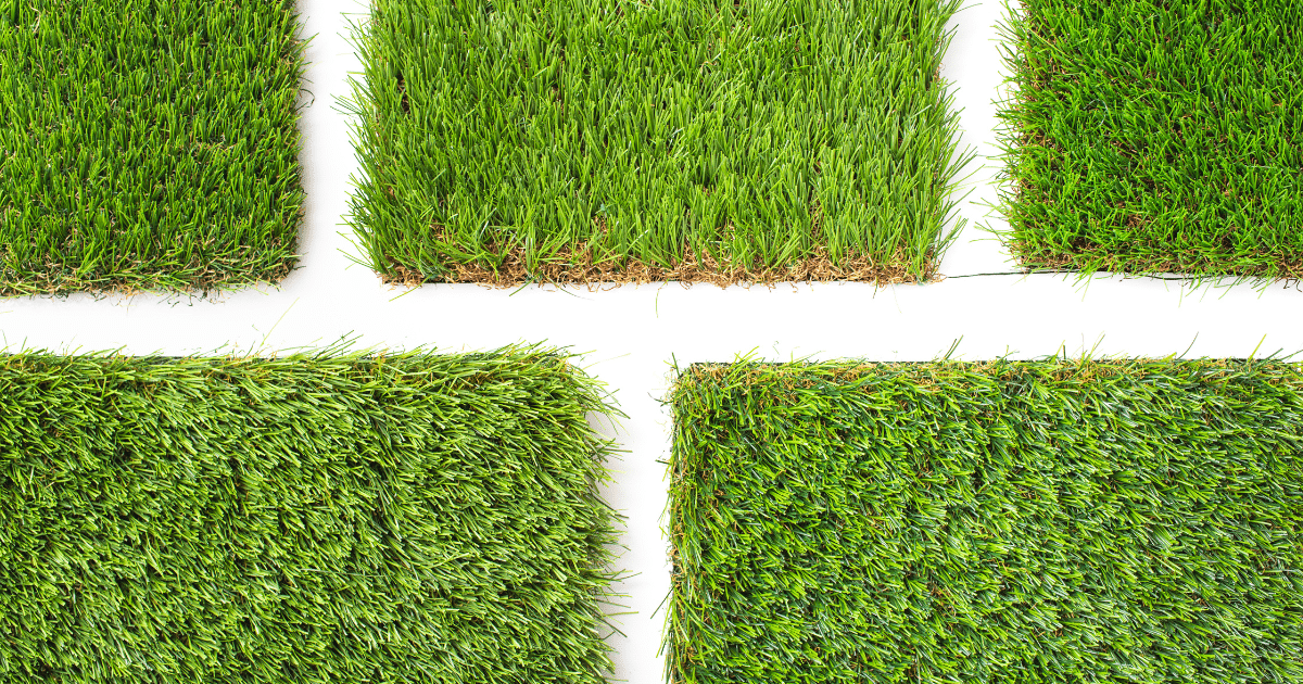 Several rectangular patches of grass with varying textures and shades of green are arranged on a white background, separated by white spaces—reminiscent of comparing real lawns when asking, "When should I fertilize my lawn?.