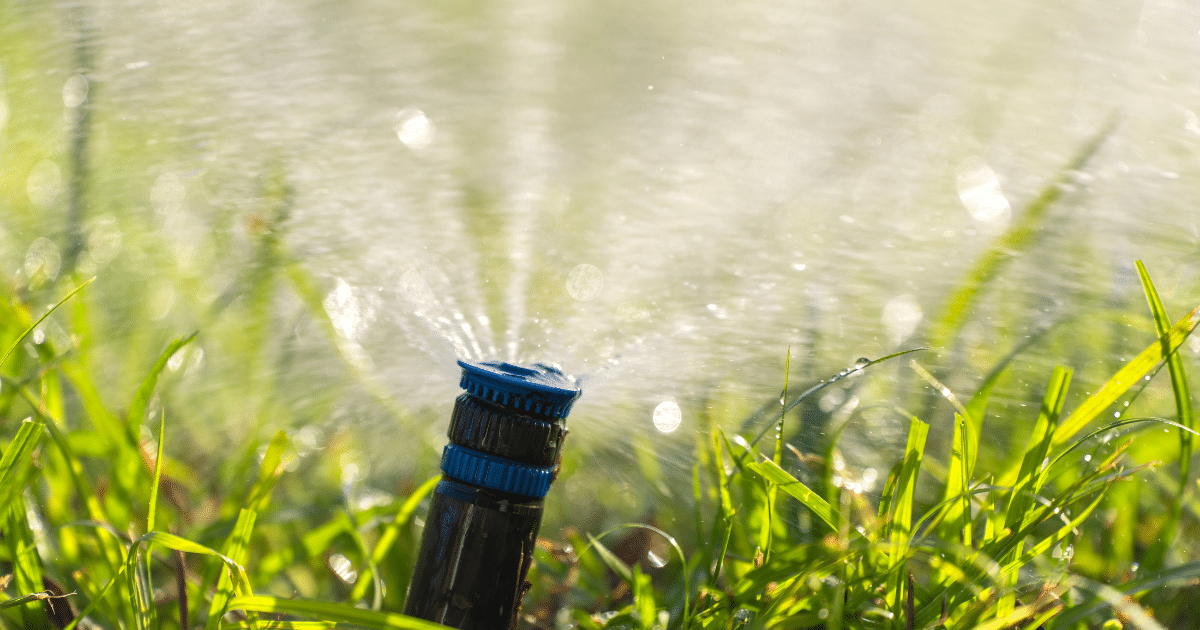 A close-up of a lawn sprinkler spraying water over green grass, with sunlight creating a sparkling effect on the droplets—a perfect example of spring lawn care tips in action.