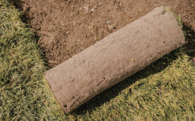 How to Lay Sod in Texas This Spring: A Step-by-Step Guide
