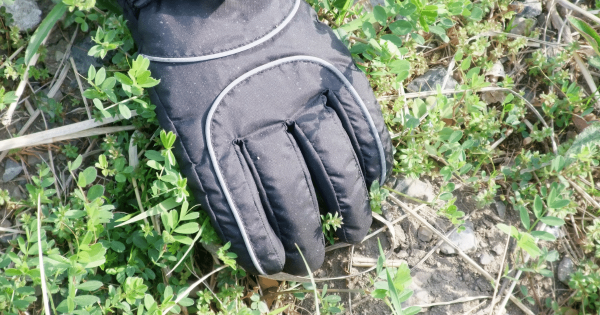 A black winter glove rests on green plants and dry grass outdoors, partially shading the ground—amidst some of the common types of weeds in lawns.