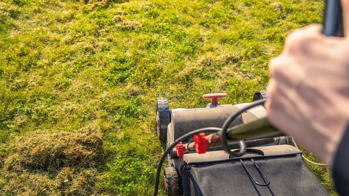 Close-up view of a person’s hand pushing a lawn mower across a patchy, sunlit grassy lawn—a key task on any spring lawn care checklist. The mower handle and controls are visible in the foreground, with cut and uncut grass ahead.