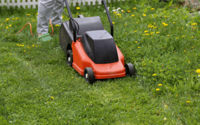 Spring Lawn Care Checklist for North Texas: What to Do Before Summer