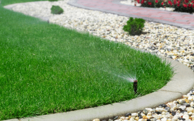 How to Prepare Your Lawn for Summer Heat in DFW